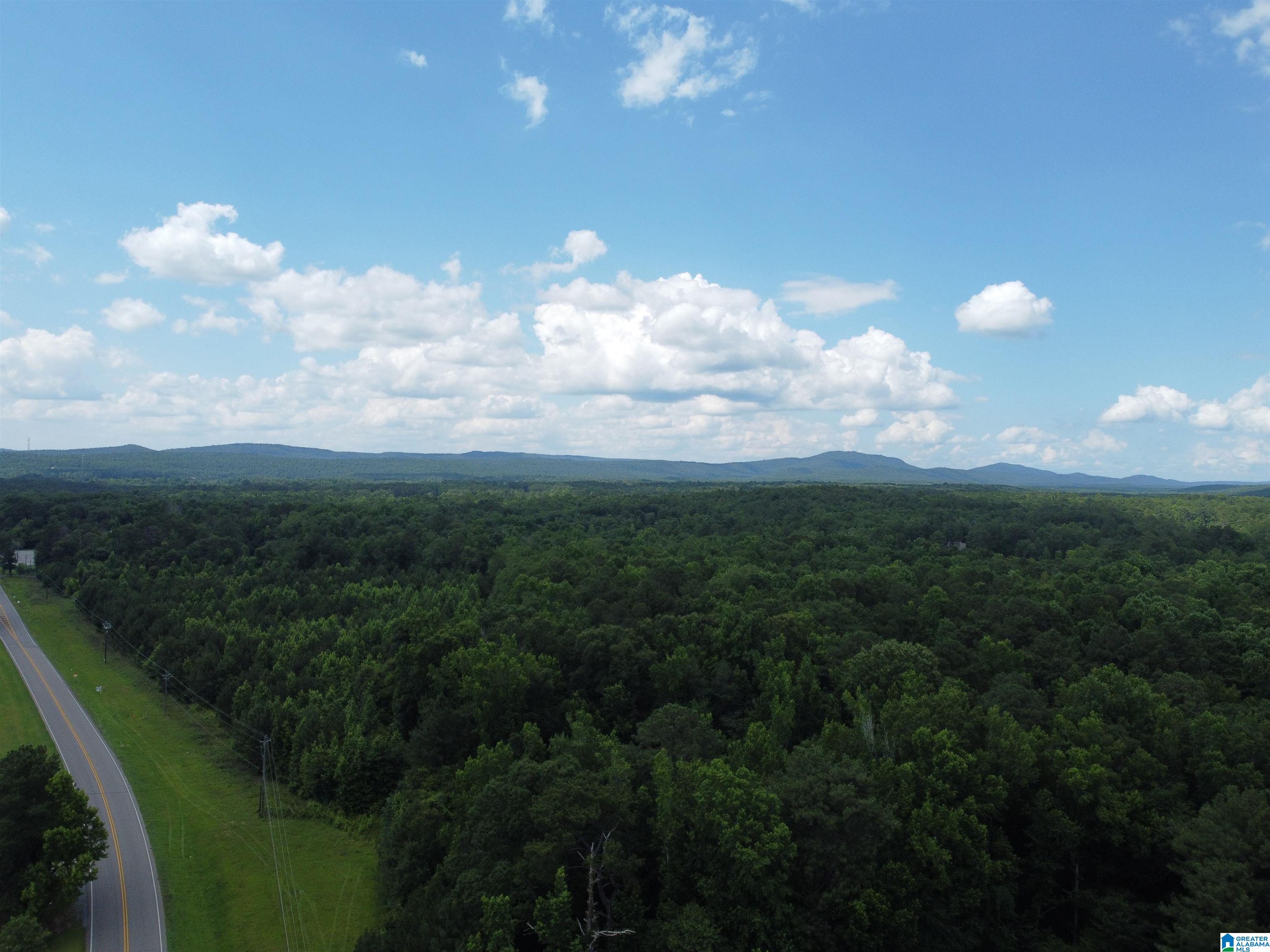 0 Highway 47, Unit 2 Chelsea, AL 35043 - Photo 8 of 19
