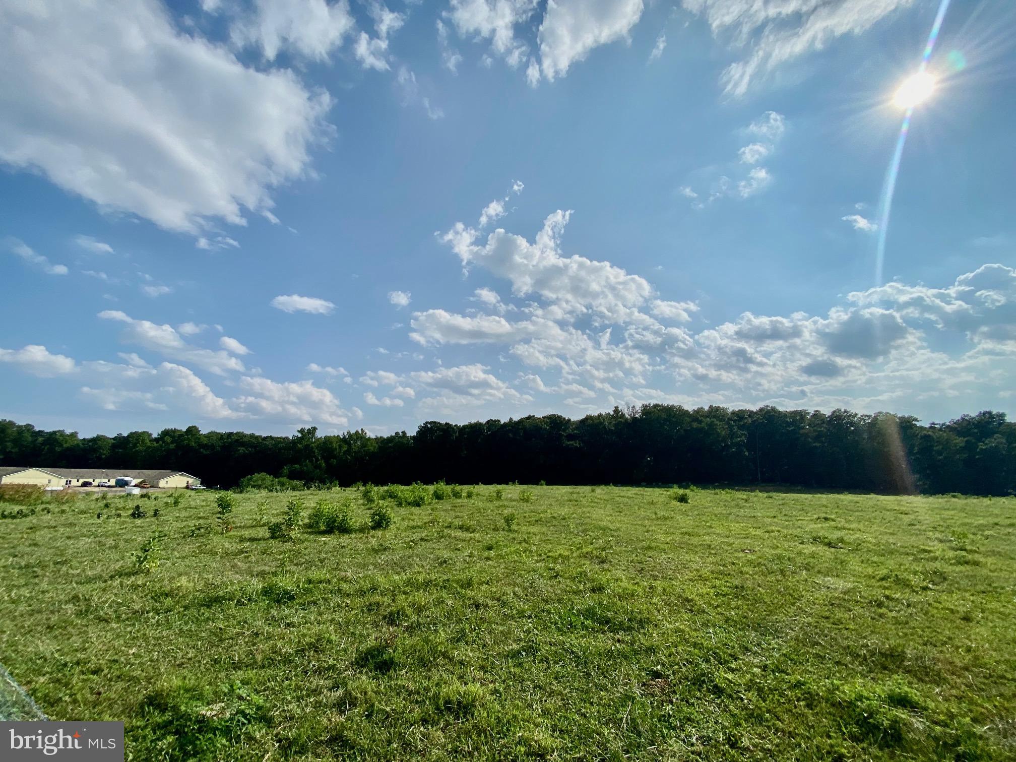 Off Alum Springs Road Culpeper, VA 22701 - Photo 13 of 17
