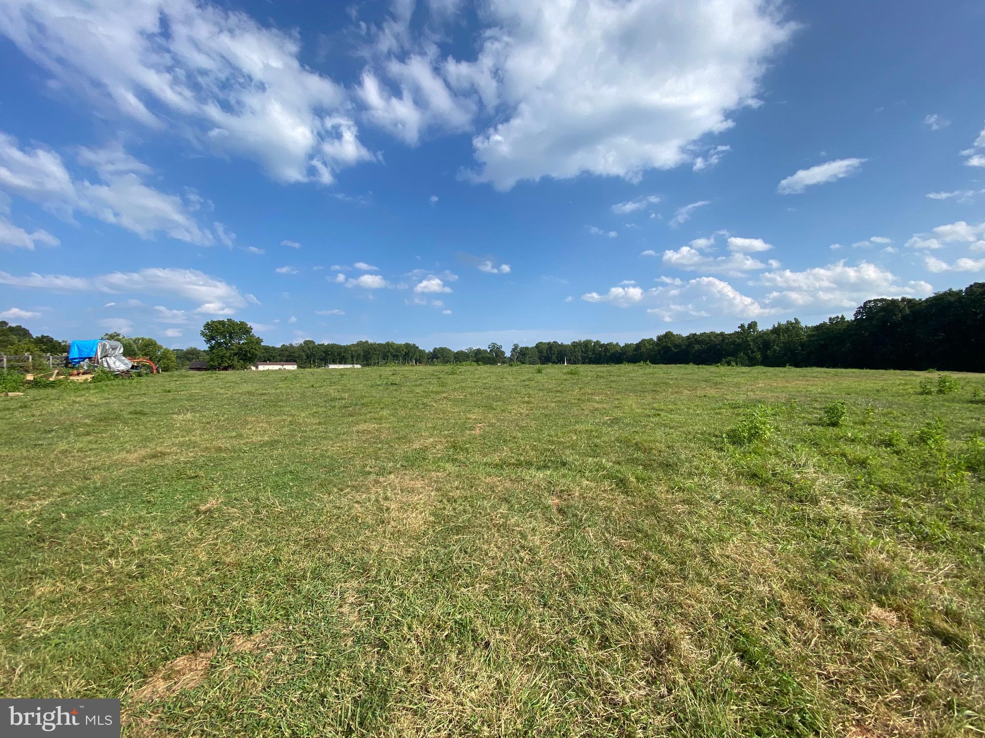 Off Alum Springs Road Culpeper, VA 22701 - Photo 16 of 17 Looking back at entrance