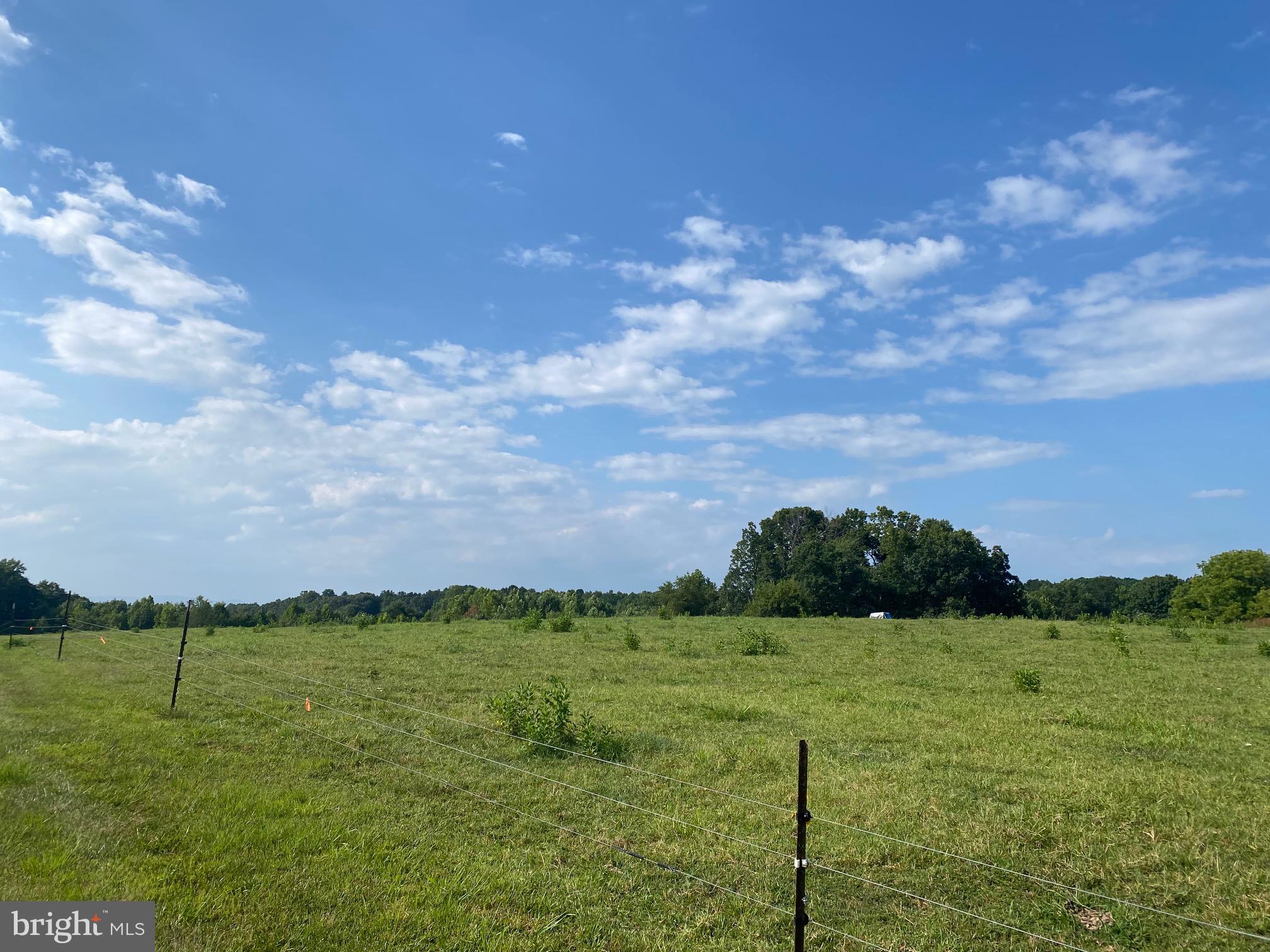 Off Alum Springs Road Culpeper, VA 22701 - Photo 6 of 17