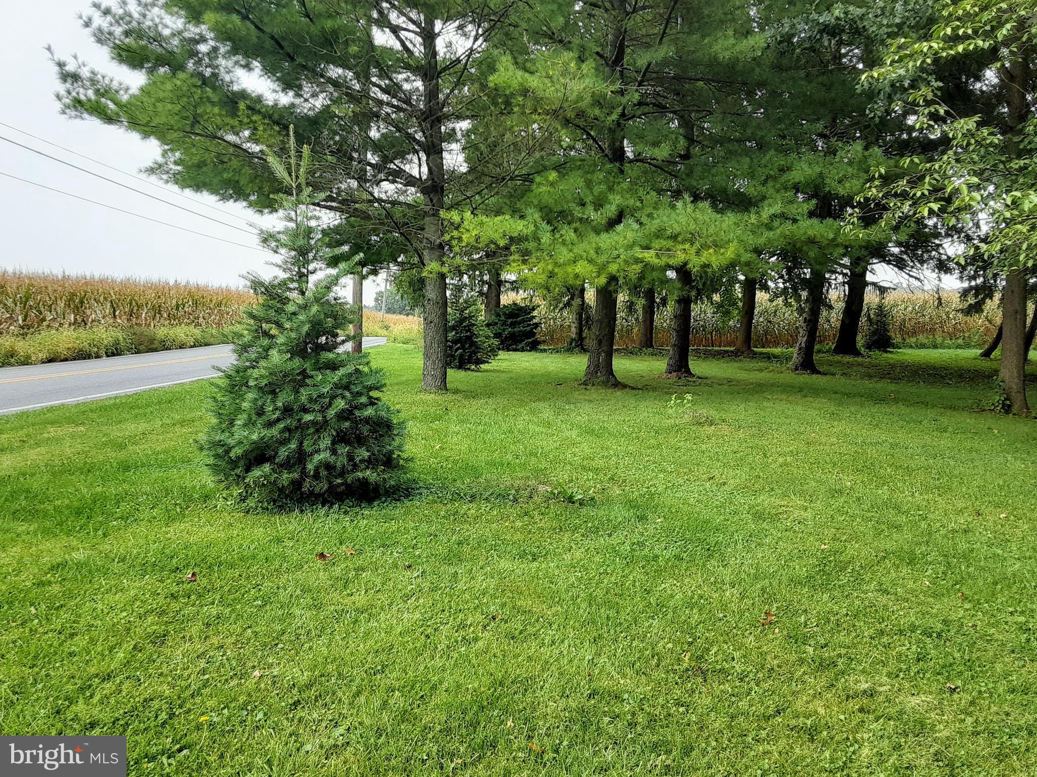 Central Manor Road, Unit 2 Mountville, PA 17554 - Photo 6 of 7