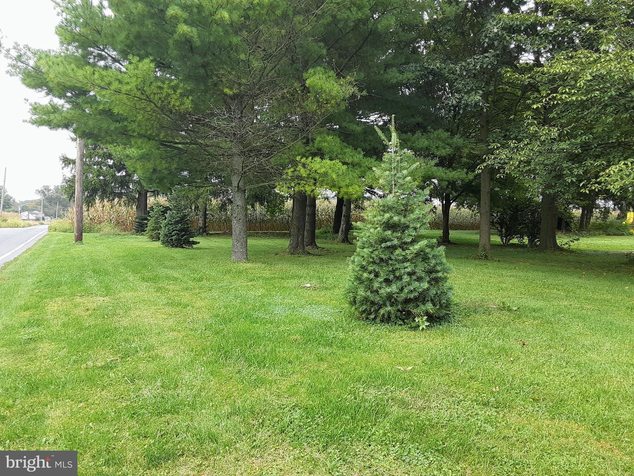 Central Manor Road, Unit 2 Mountville, PA 17554 - Photo 7 of 7