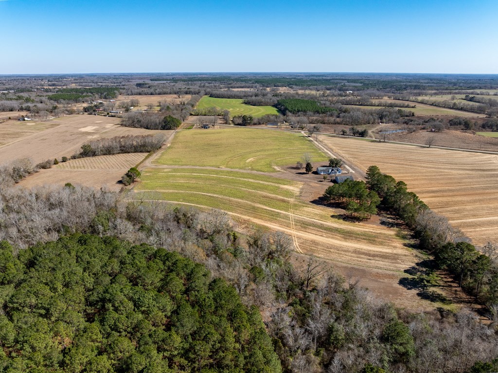 11034-11134 Cty Road Slocomb, AL 36375 - Photo 18 of 80