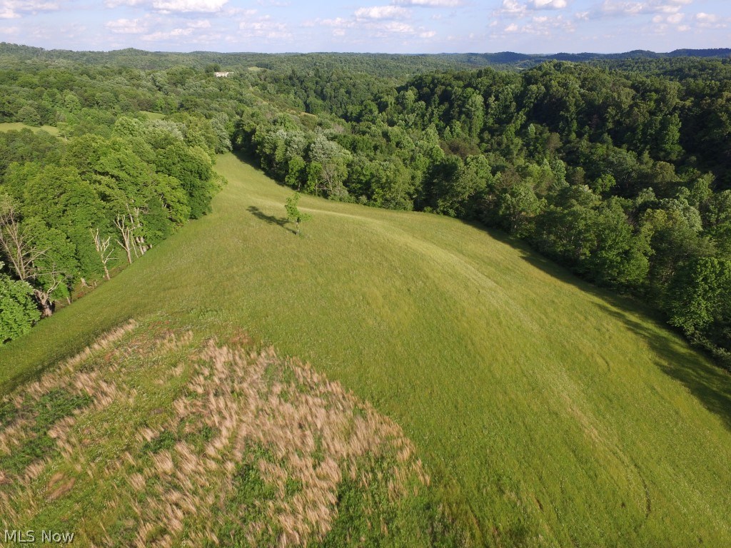 0 Moyers Run Road Harrisville, WV 26362 - Photo 8 of 22 Gallery Image 8