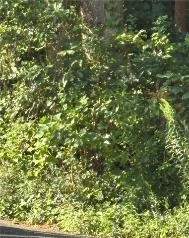 $24,900 | 0 Pellet Road, Hannibal, NY 13074