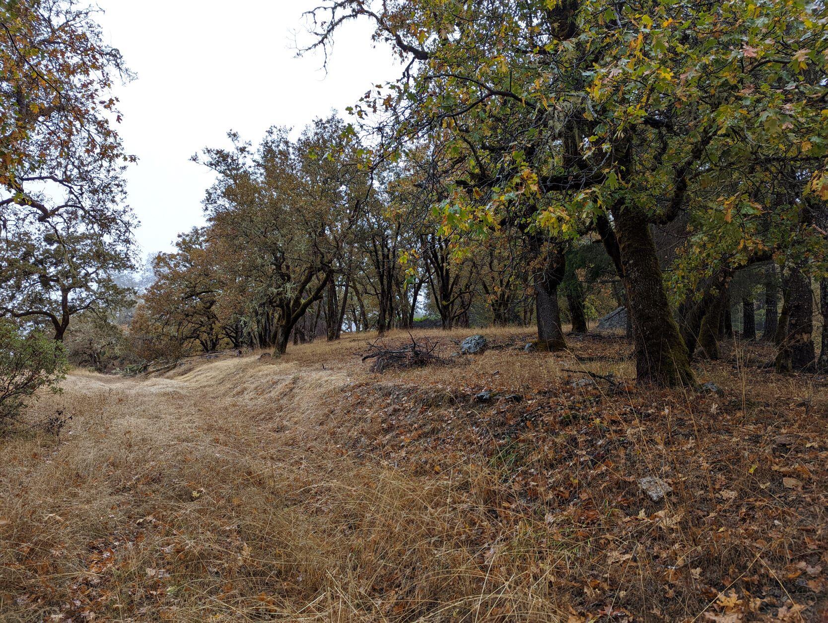 0 China Mine Road Bridgeville, CA 95526 - Photo 16 of 18