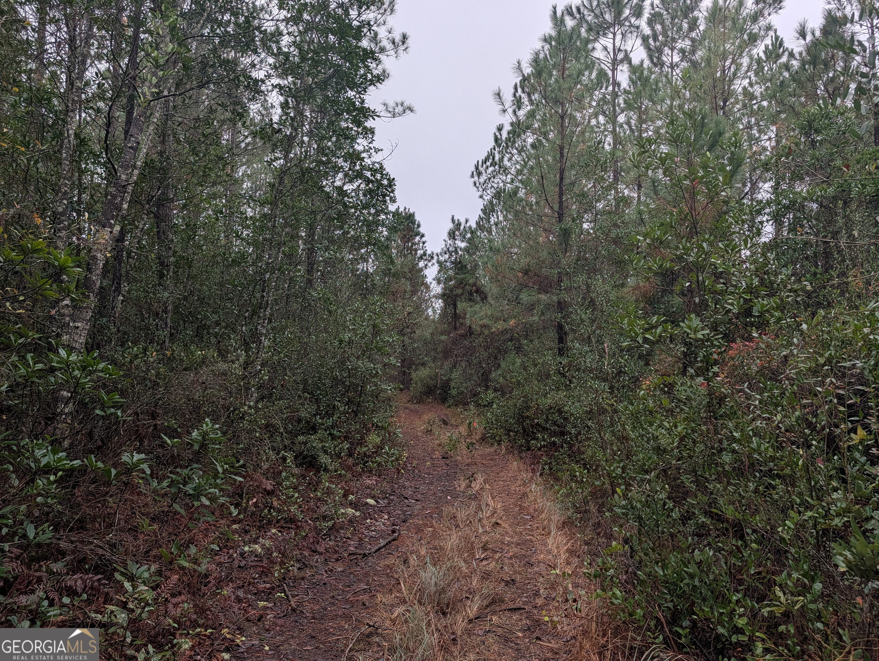 0 Doc McTier Road Baxley, GA 31513 - Photo 11 of 18