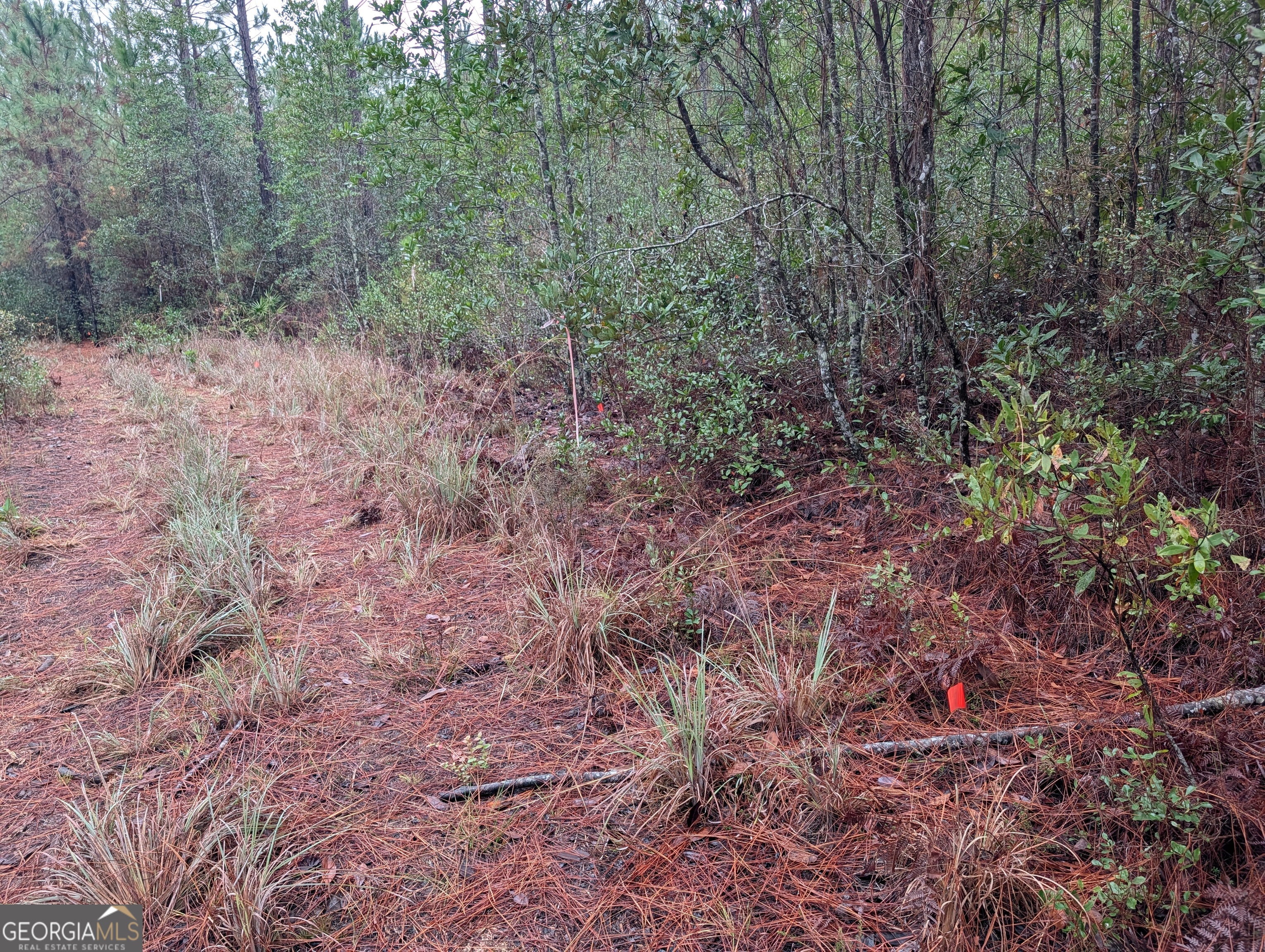 0 Doc McTier Road Baxley, GA 31513 - Photo 12 of 18