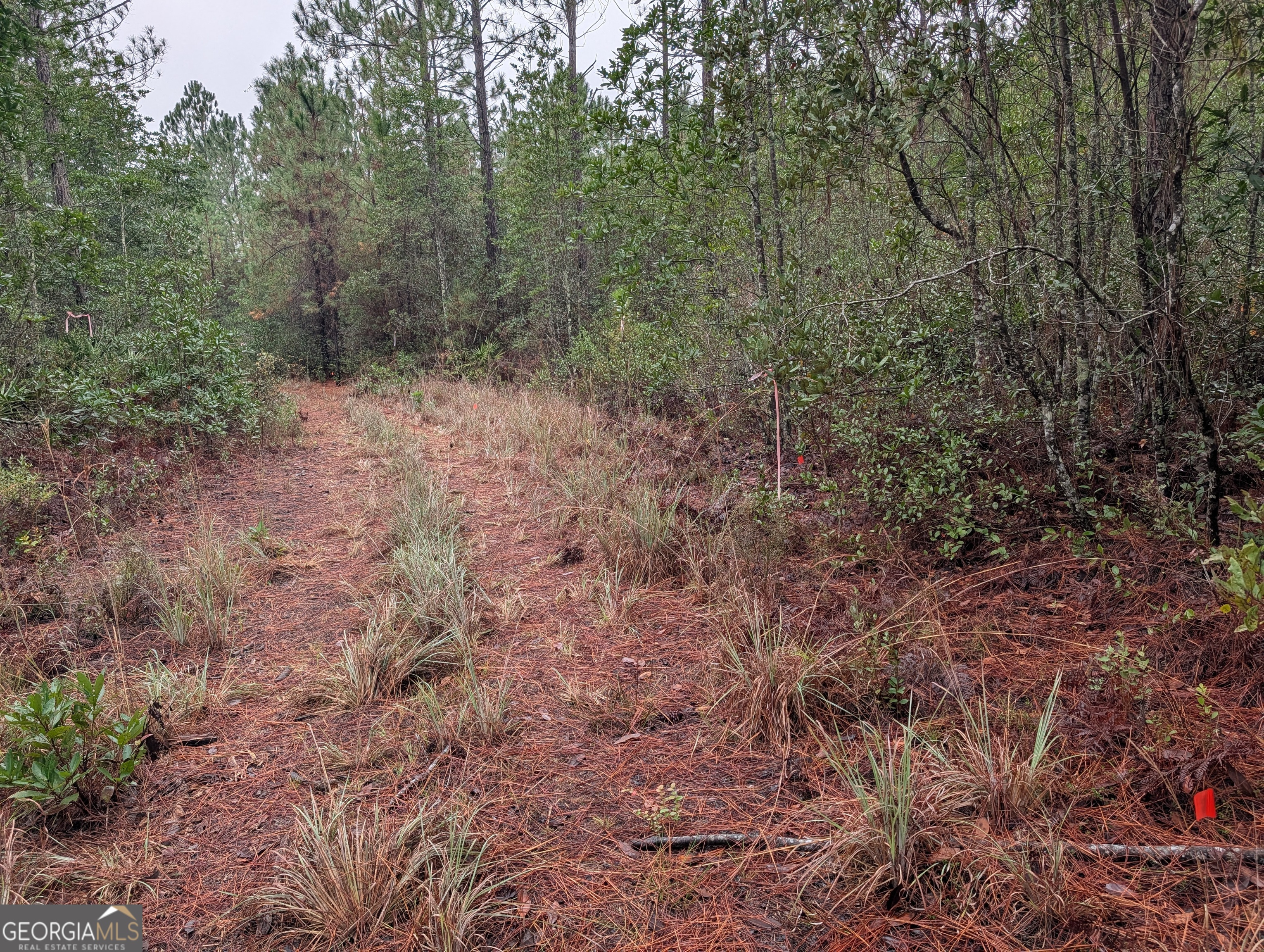 0 Doc McTier Road Baxley, GA 31513 - Photo 13 of 18