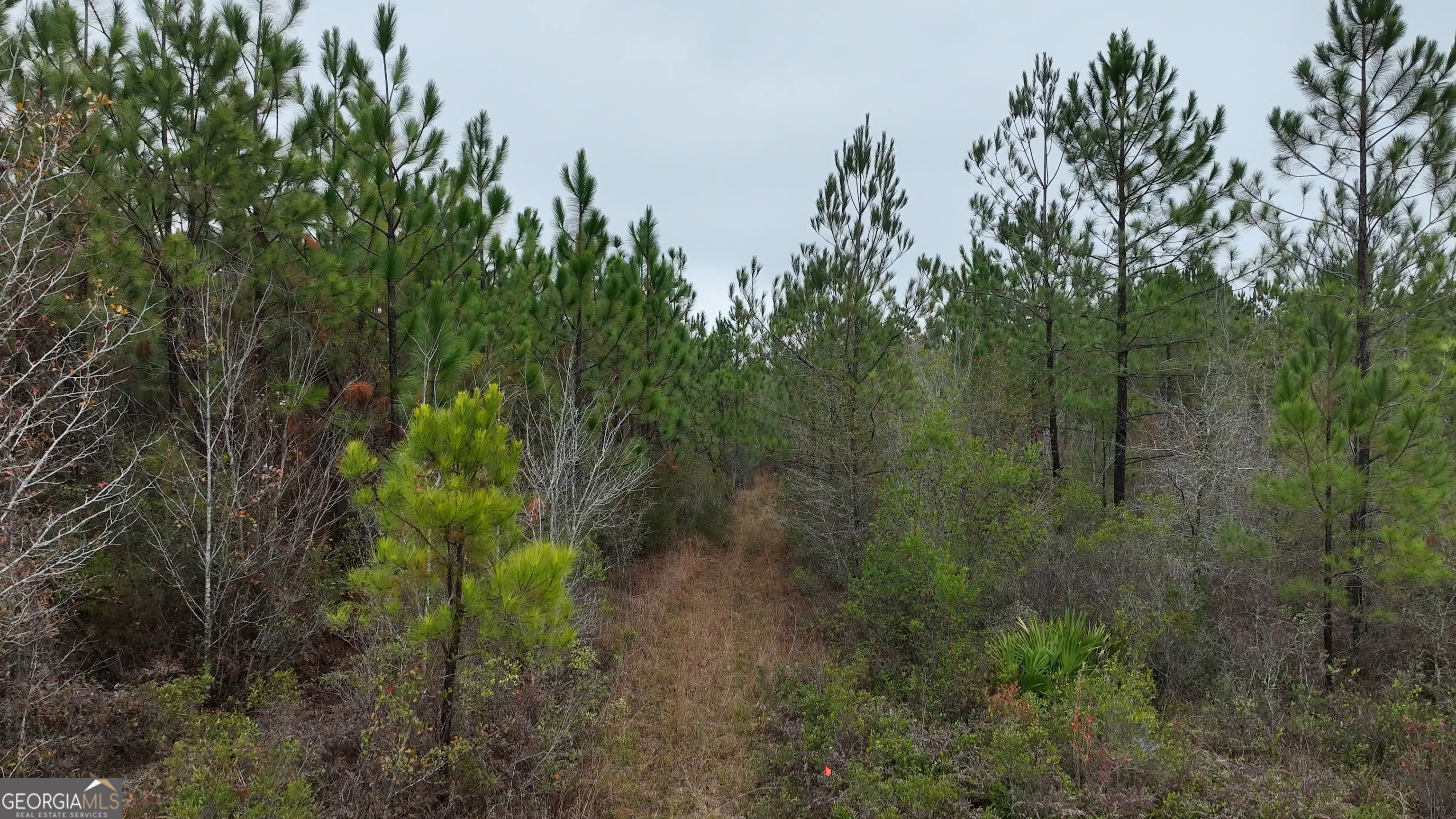 0 Doc McTier Road Baxley, GA 31513 - Photo 15 of 18