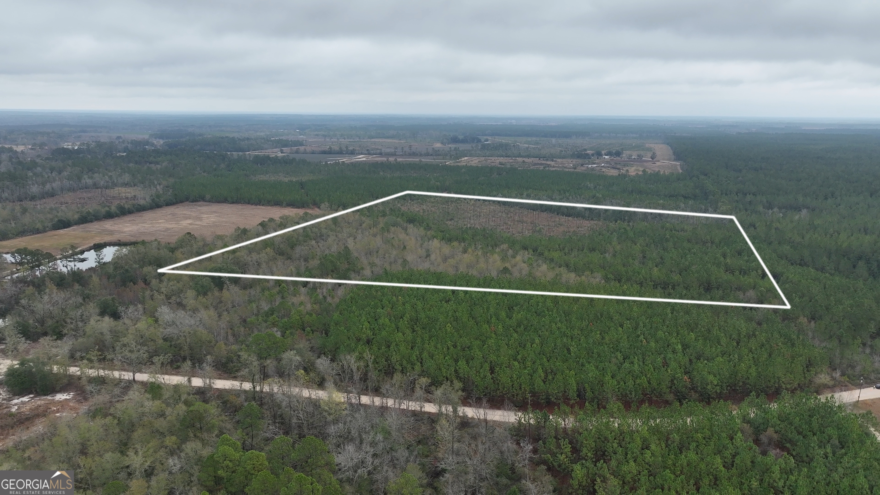 0 Doc McTier Road Baxley, GA 31513 - Photo 17 of 18