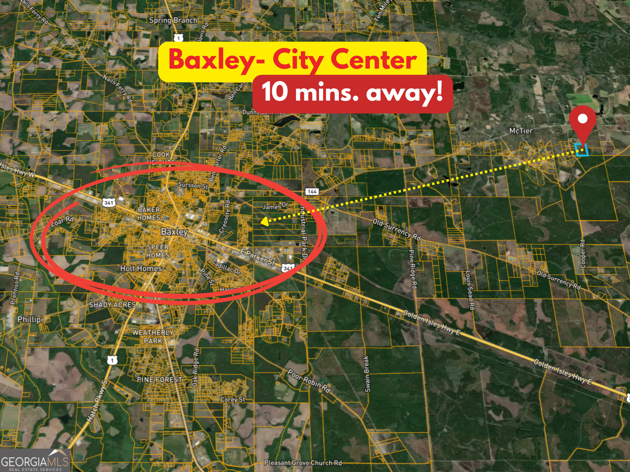 0 Doc McTier Road Baxley, GA 31513 - Photo 18 of 18