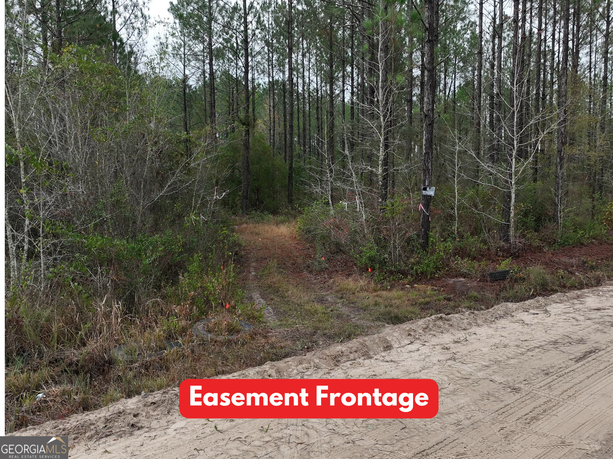 0 Doc McTier Road Baxley, GA 31513 - Photo 2 of 18