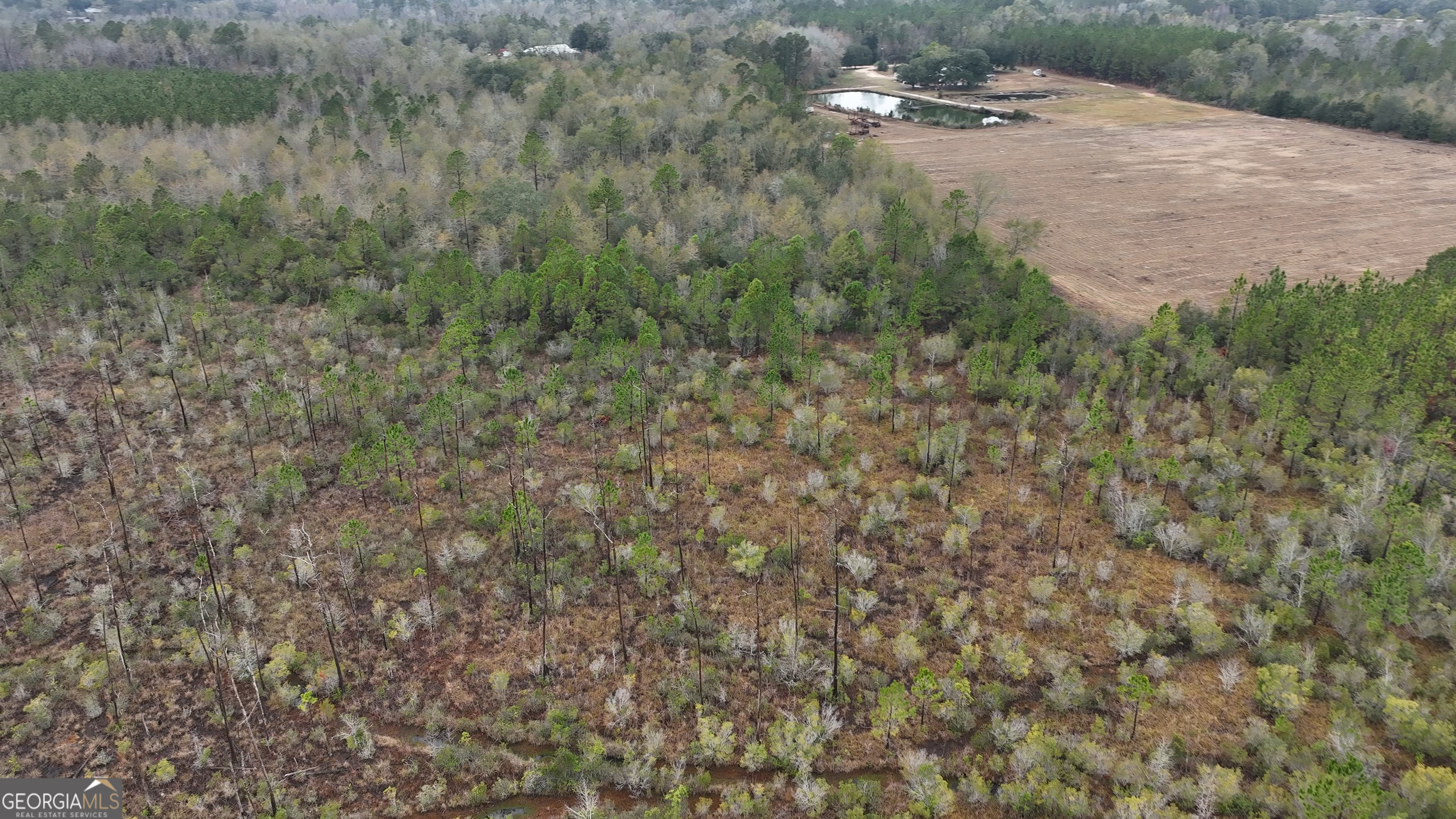 0 Doc McTier Road Baxley, GA 31513 - Photo 5 of 18