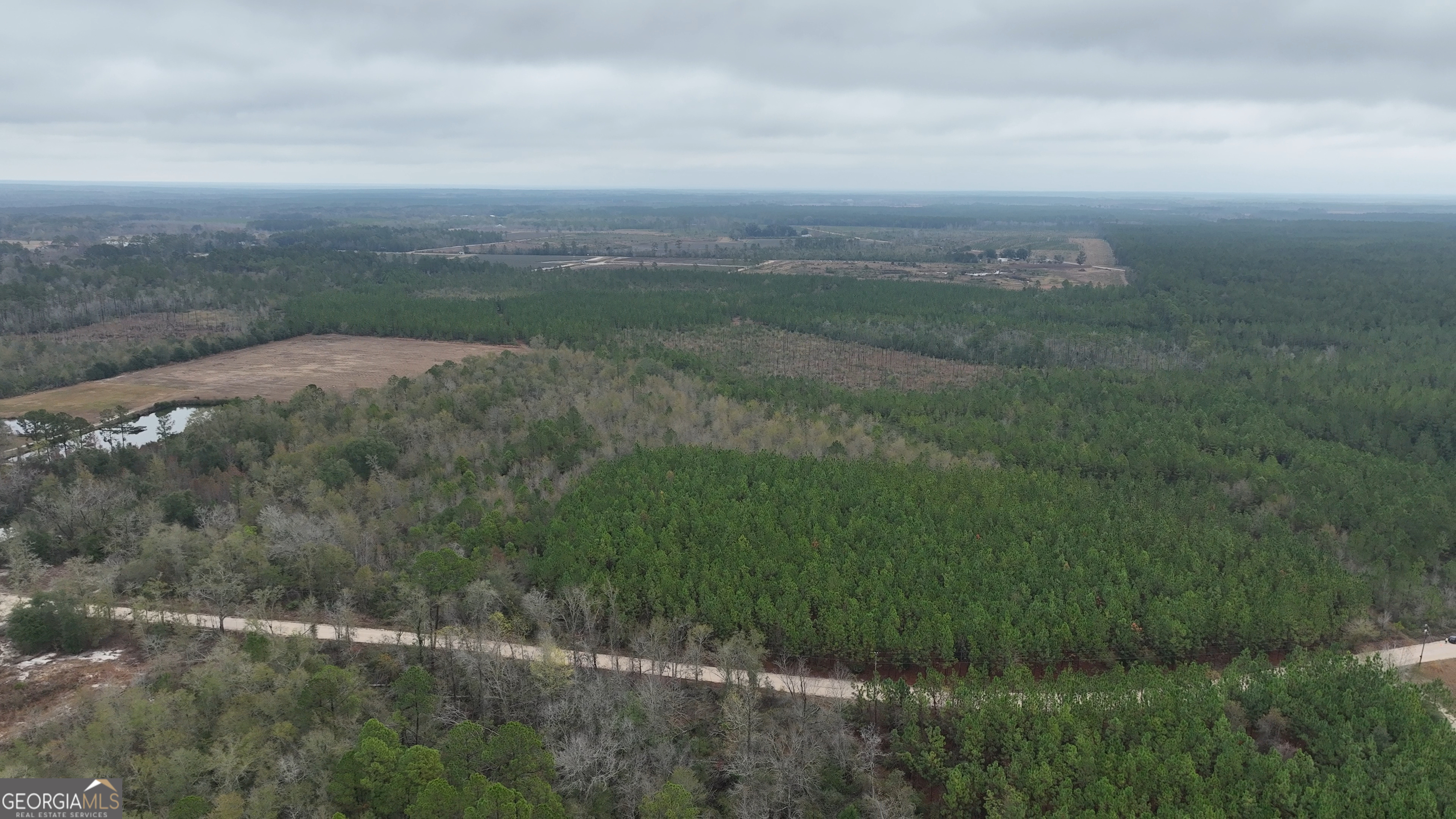 0 Doc McTier Road Baxley, GA 31513 - Photo 6 of 18