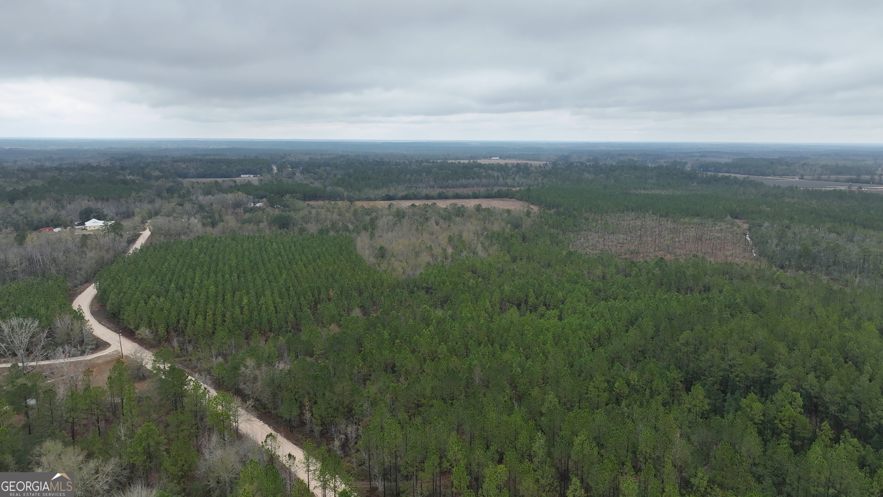 0 Doc McTier Road Baxley, GA 31513 - Photo 7 of 18