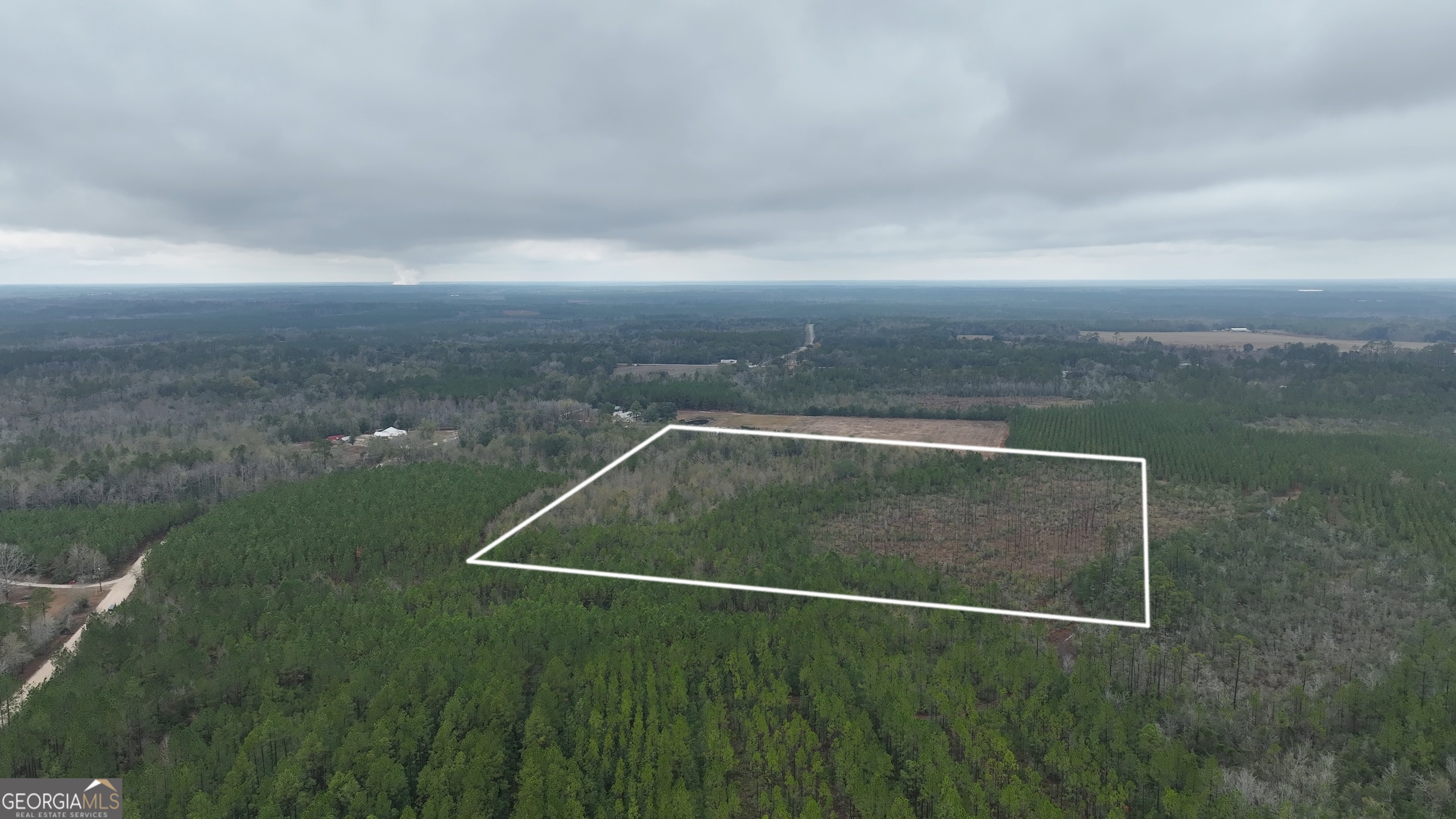 0 Doc McTier Road Baxley, GA 31513 - Photo 8 of 18