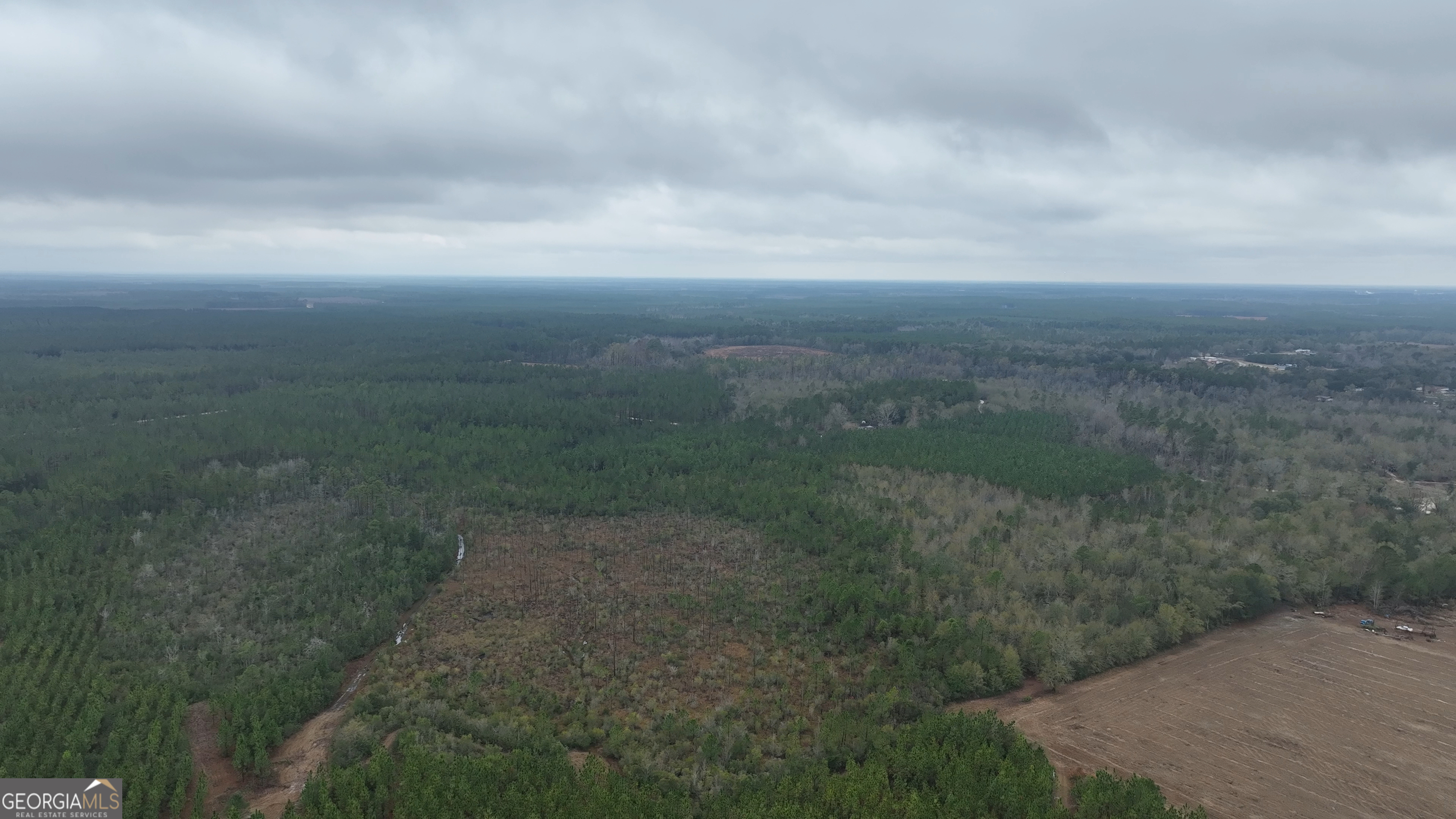 0 Doc McTier Road Baxley, GA 31513 - Photo 9 of 18