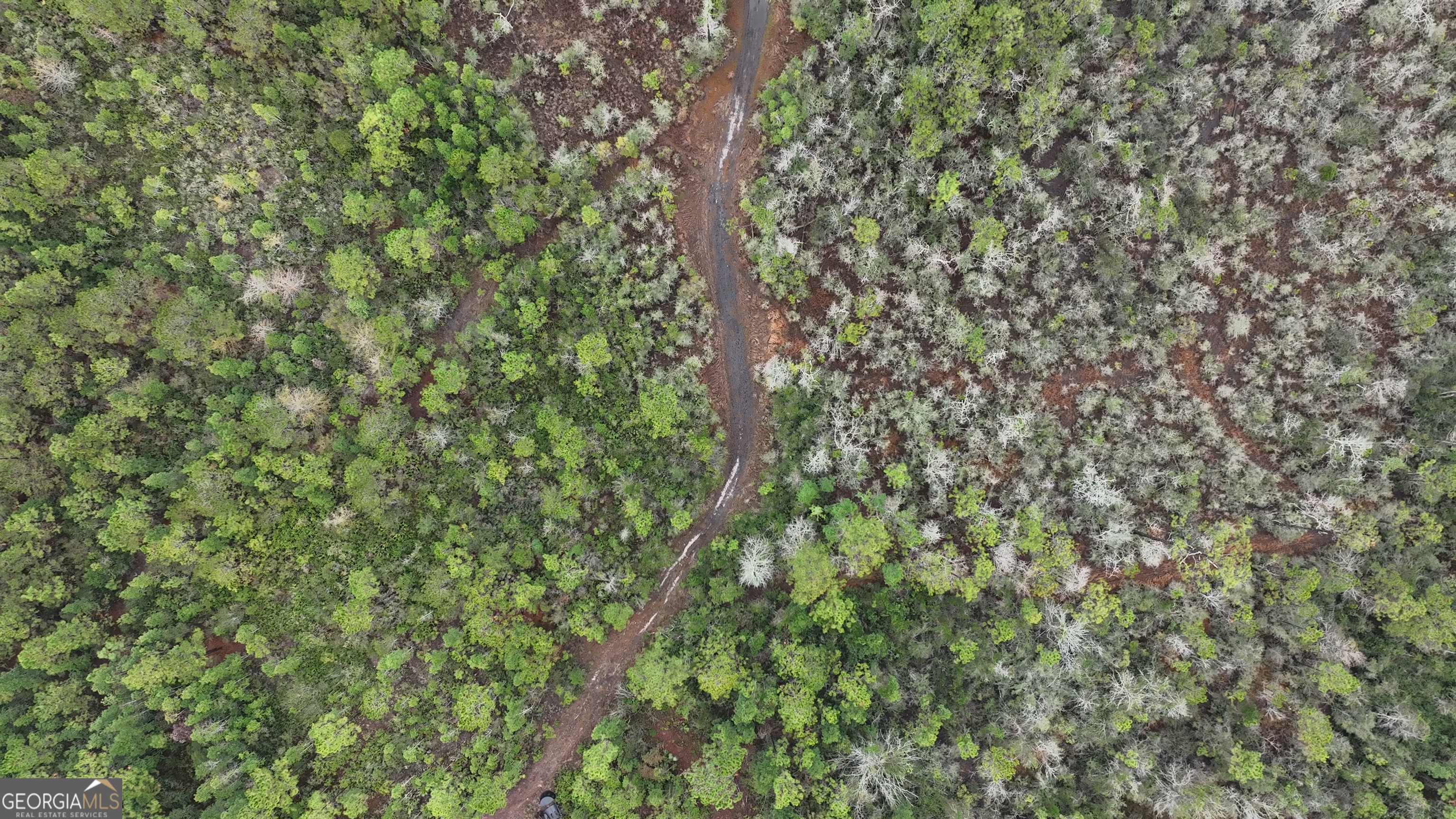 0 Doc McTier Road Baxley, GA 31513 - Photo 10 of 18