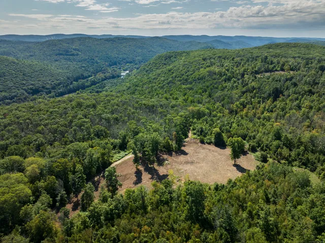 an aerial view of green landscape with trees houses and mountain view