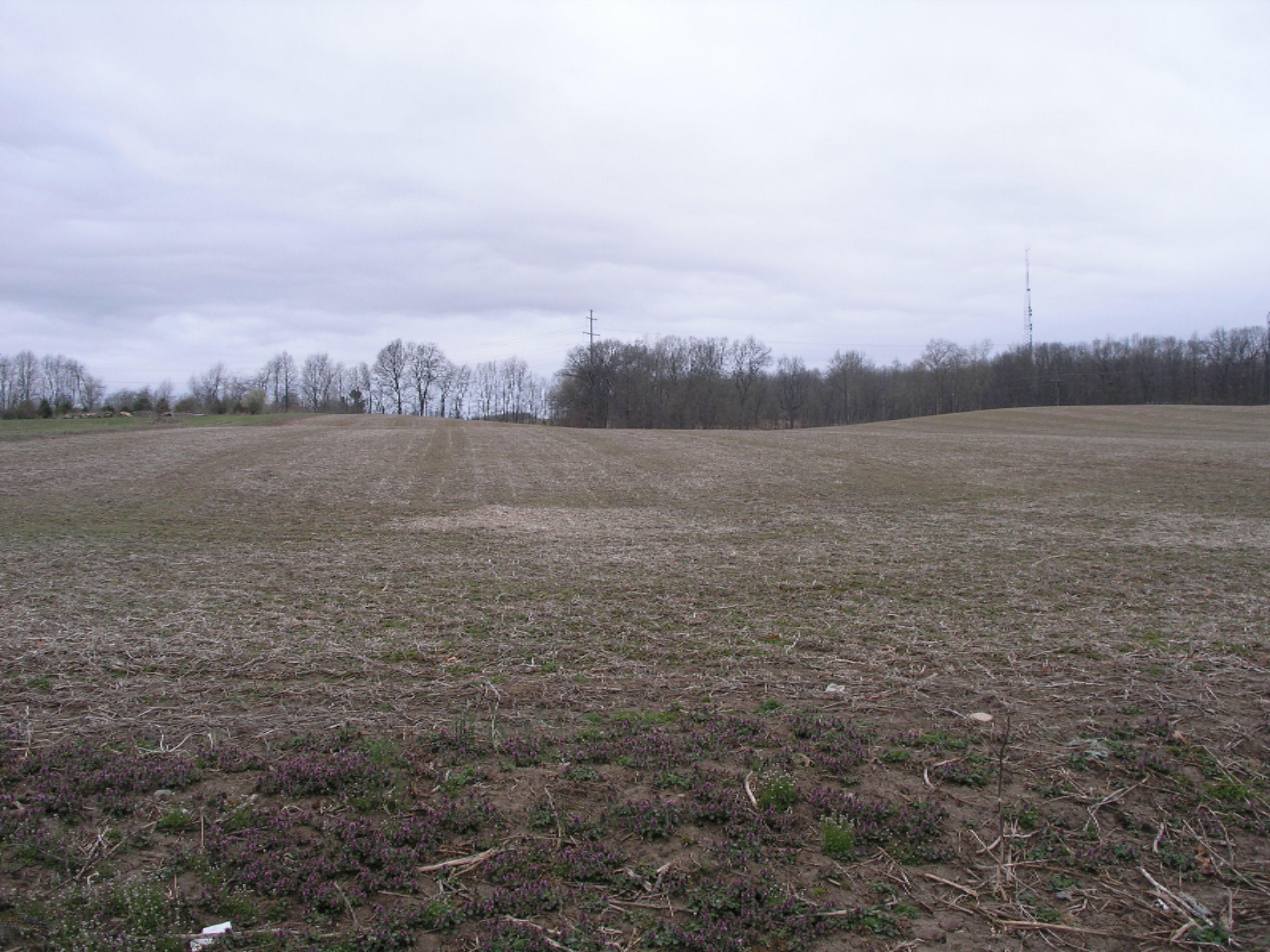 7 A Woodlake Road Three Rivers, MI 49093 - Photo 1 of 1 Wood Lake Rd 7A,,B & C 001