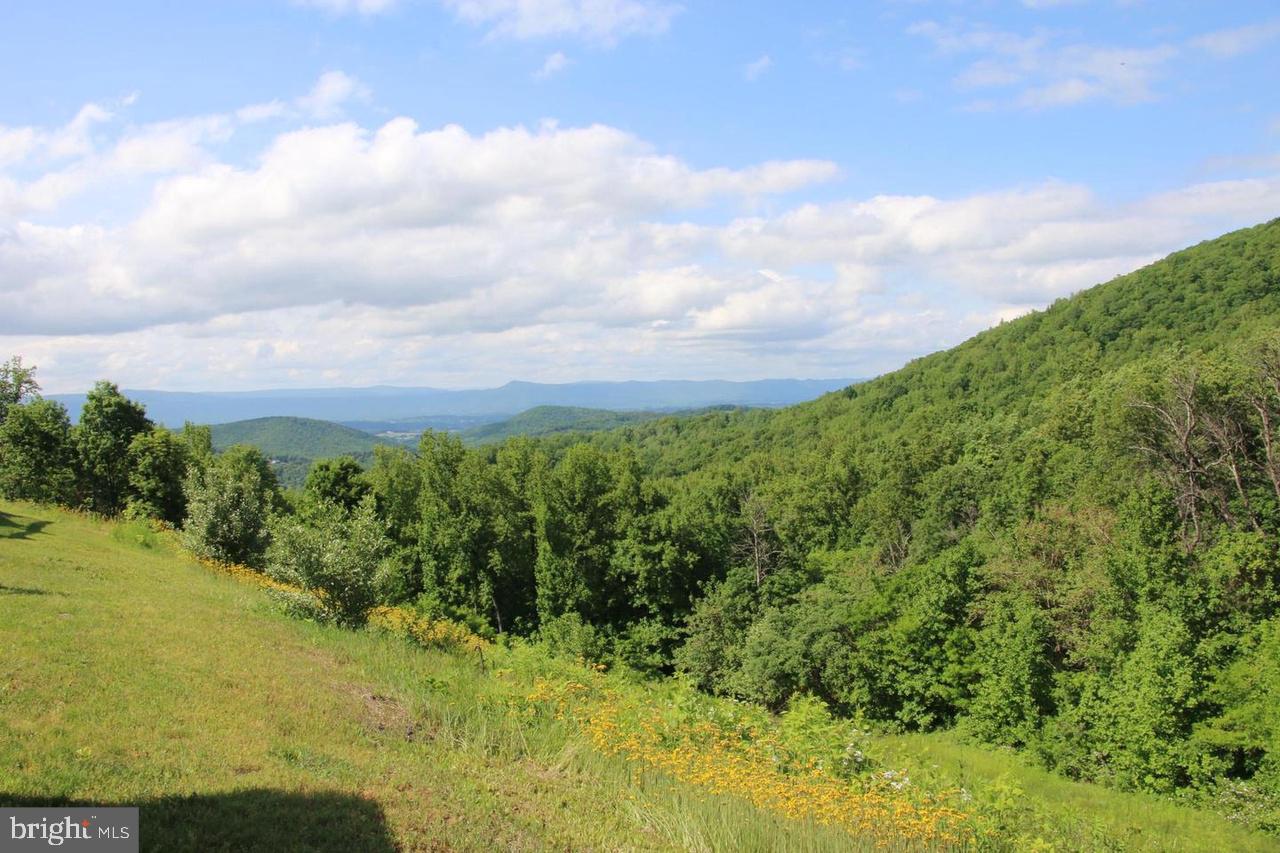 897 Helms Road Stanley, VA 22851 - Photo 36 of 60