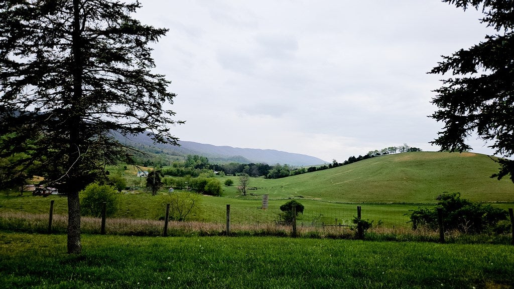 2241 Skydusky Road Bland, VA 24315 - Photo 37 of 42 Gallery Image 37