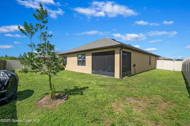 a view of a backyard with plants and large tree