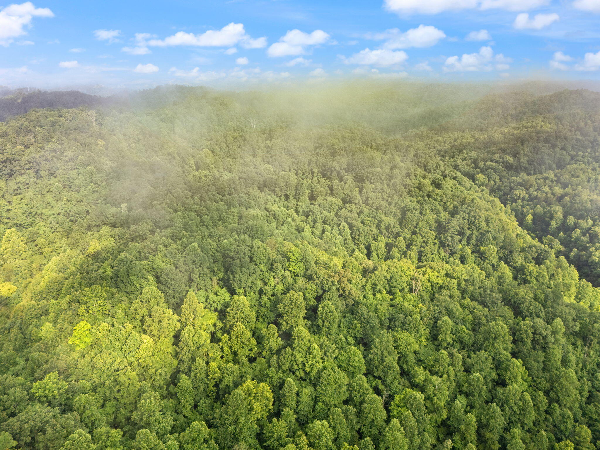 492 Sugar Camp Road Booneville, KY 41314 - Photo 33 of 44 23-web-or-mls-DJI_20250701090710_0063_D