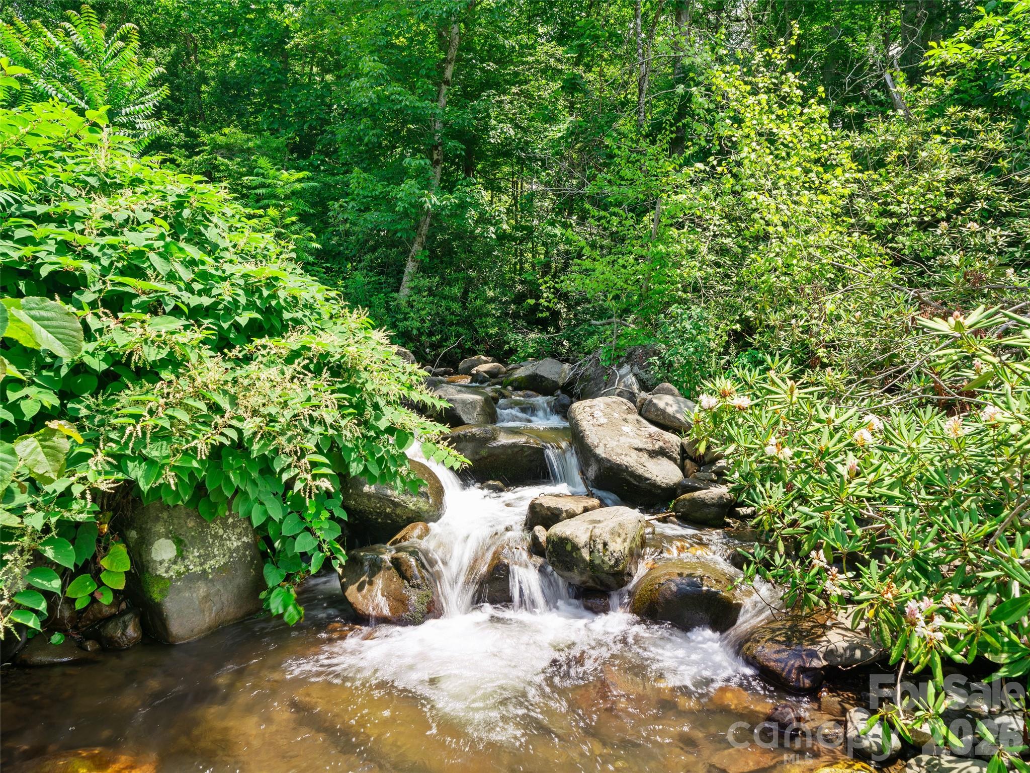 253 Odoms Chapel Road Bakersville, NC 28705 - Photo 2 of 33