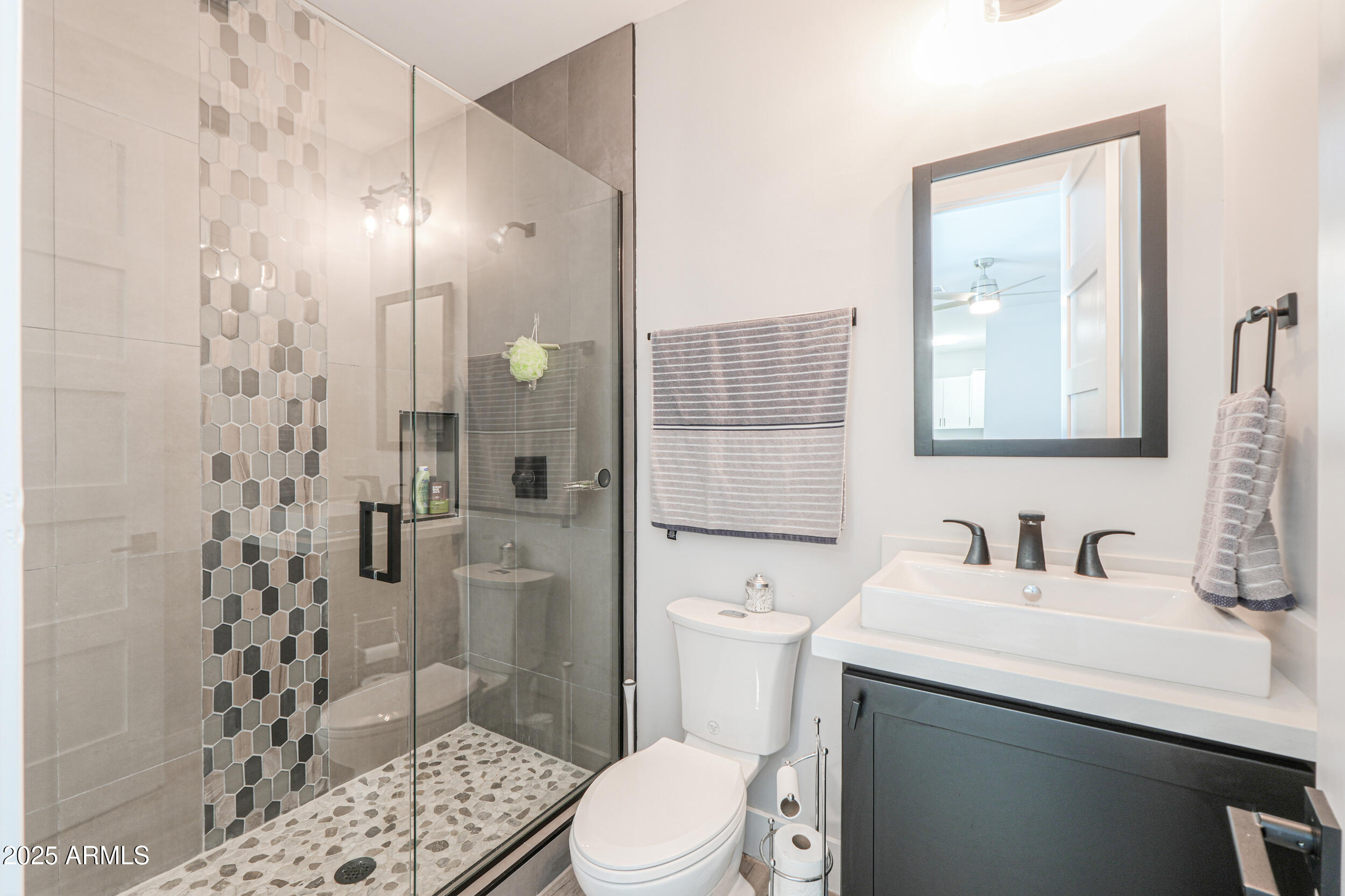 2529 West Magma Road San Tan Valley, AZ 85144 - Photo 75 of 93 a bathroom with a sink a toilet and shower