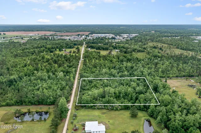 $34,999 | Xxx Whitetail Drive, Marianna, FL 32448