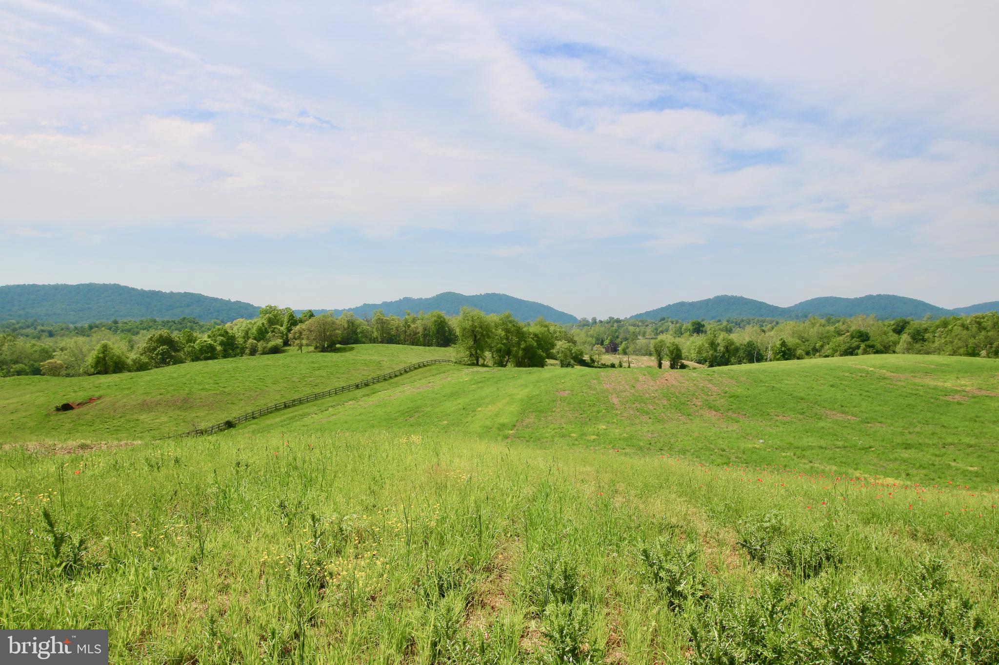 1 Jericho Road Flint Hill, VA 22627 - Photo 11 of 20 Gallery Image 11