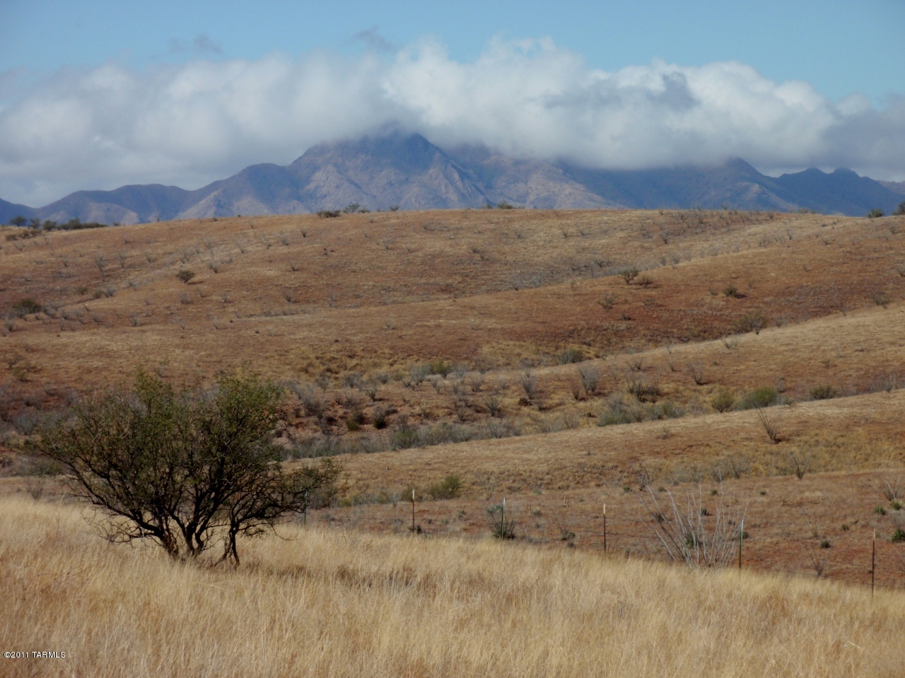91 Lake Patagonia Road Nogales, AZ 85621 - Photo 7 of 11