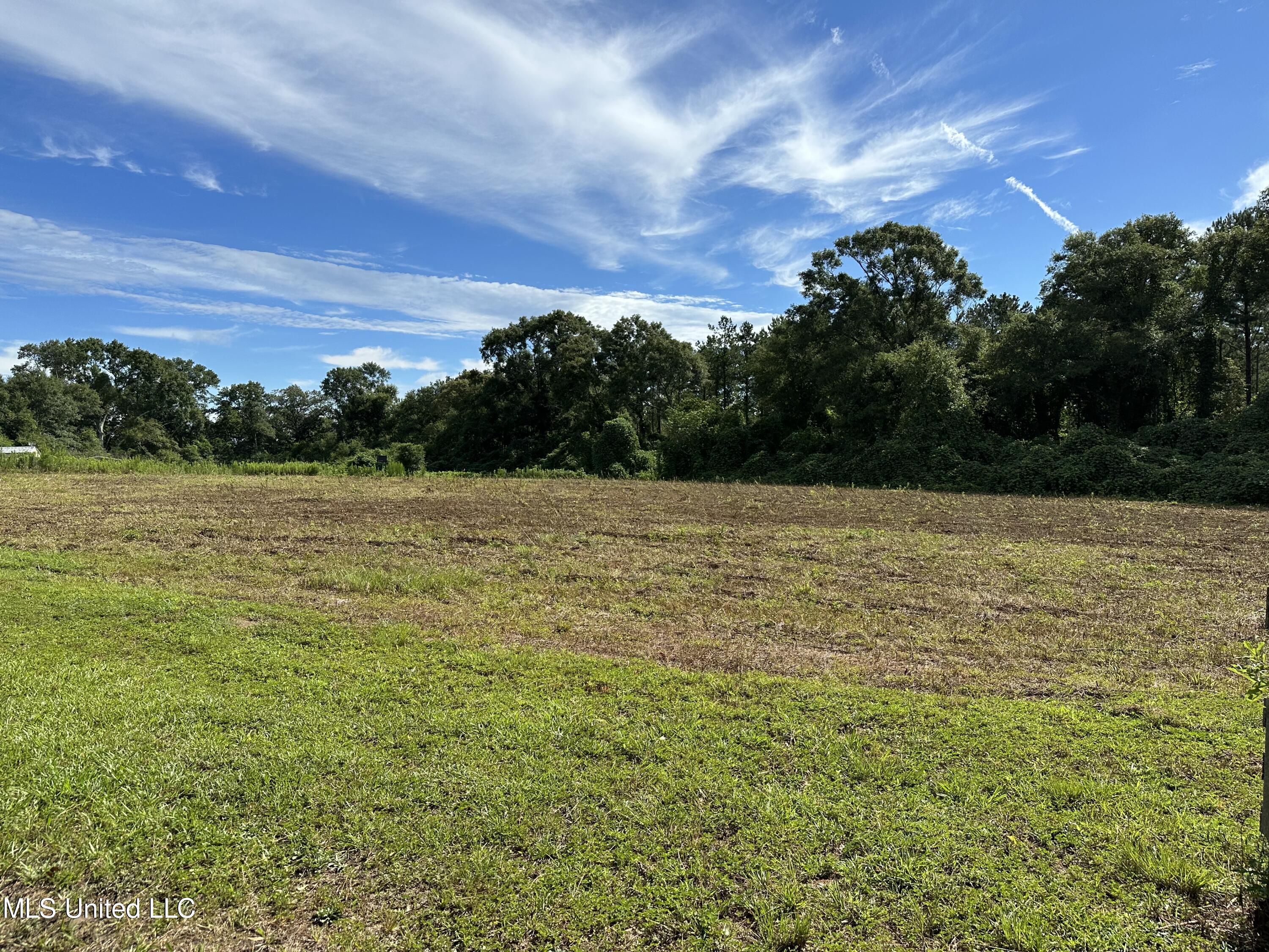 491 Progress Road, Unit A Poplarville, MS 39470 - Photo 30 of 33 IMG_6022