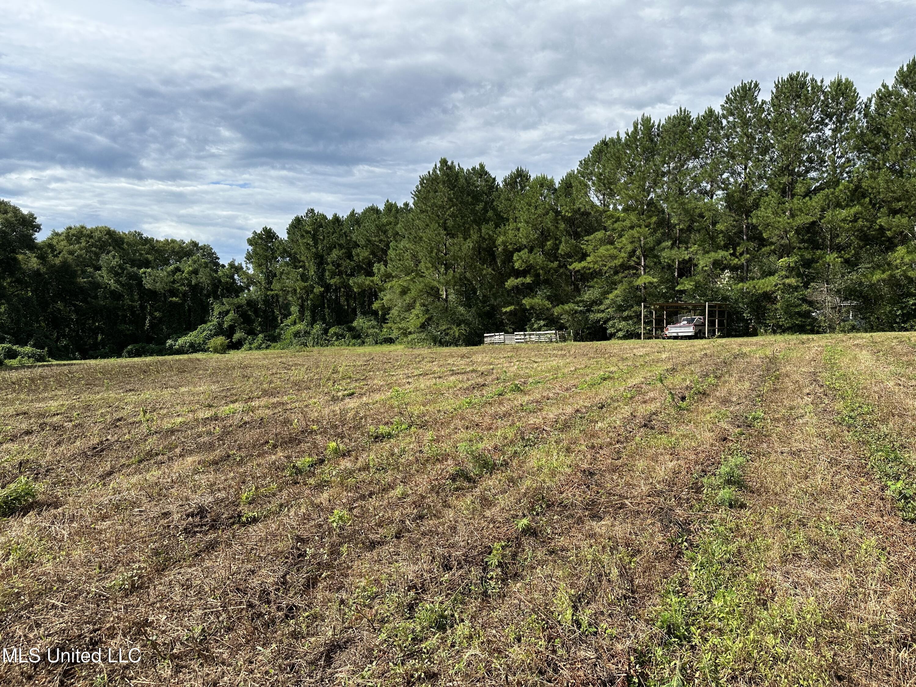 491 Progress Road, Unit A Poplarville, MS 39470 - Photo 31 of 33 IMG_6023