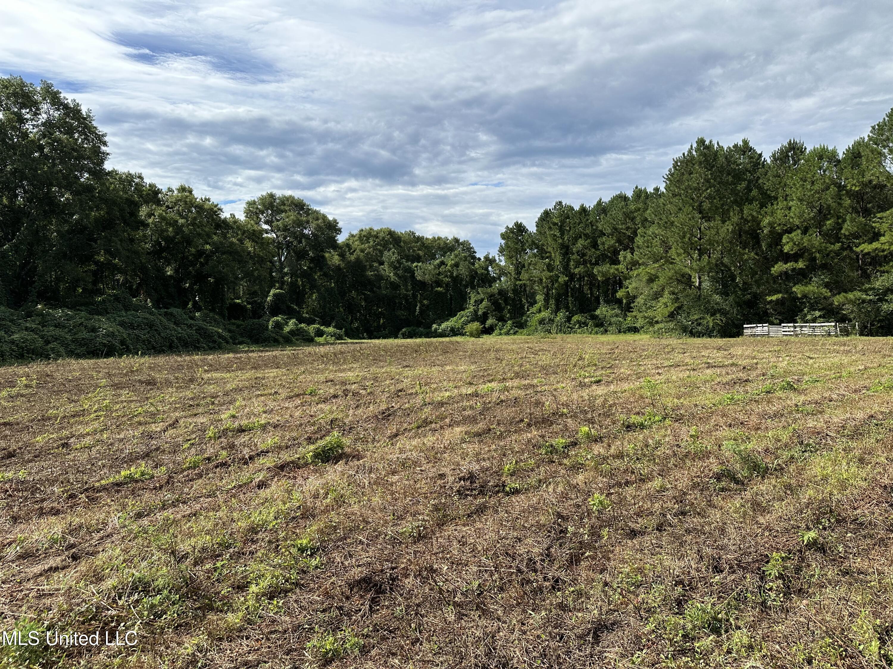 491 Progress Road, Unit A Poplarville, MS 39470 - Photo 32 of 33 IMG_6024