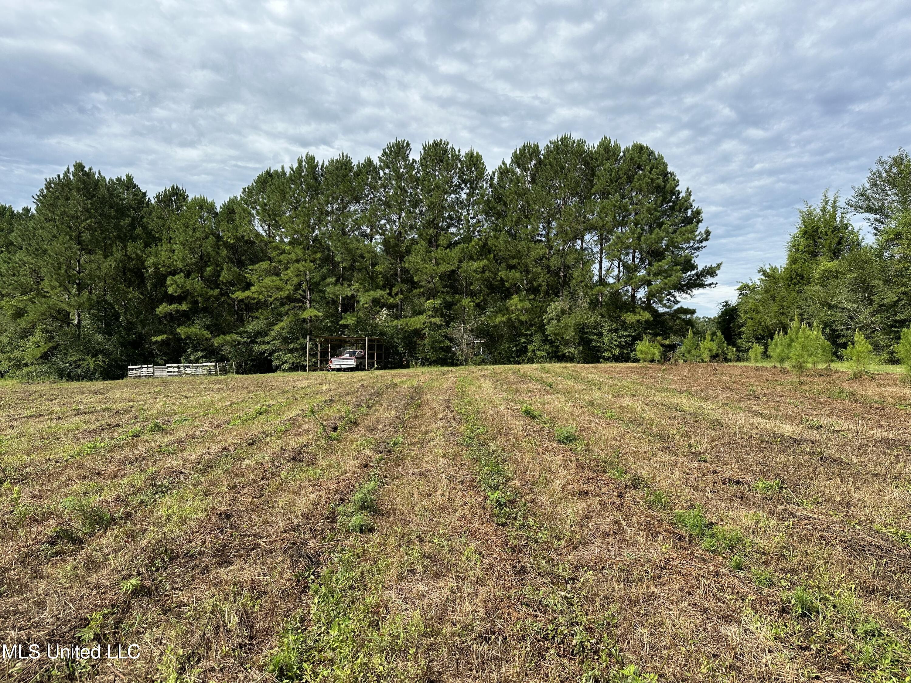 491 Progress Road, Unit A Poplarville, MS 39470 - Photo 33 of 33 IMG_6025