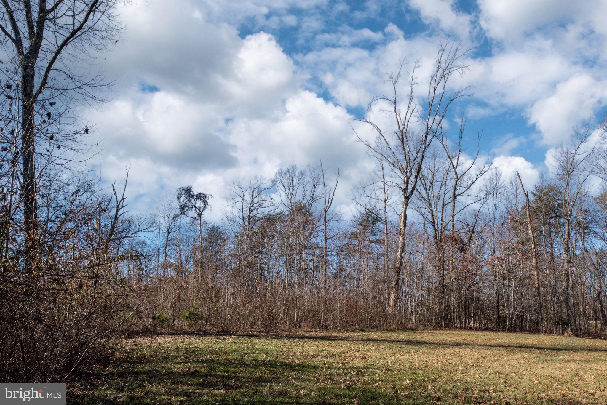 1675 Roberts Run Road Stafford, VA 22556 - Photo 81 of 88 Gallery Image 81