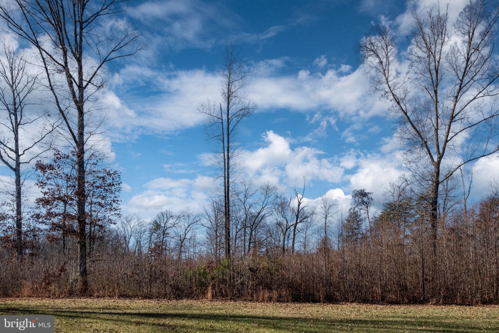 1675 Roberts Run Road Stafford, VA 22556 - Photo 82 of 88 Gallery Image 82