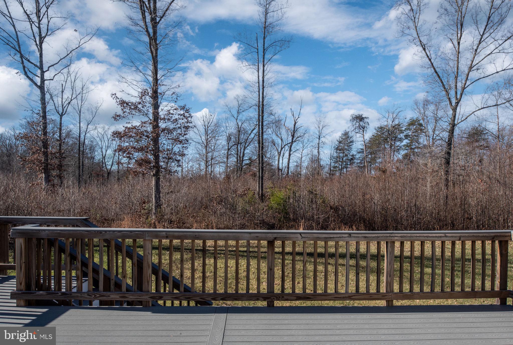 1675 Roberts Run Road Stafford, VA 22556 - Photo 86 of 88 Gallery Image 86