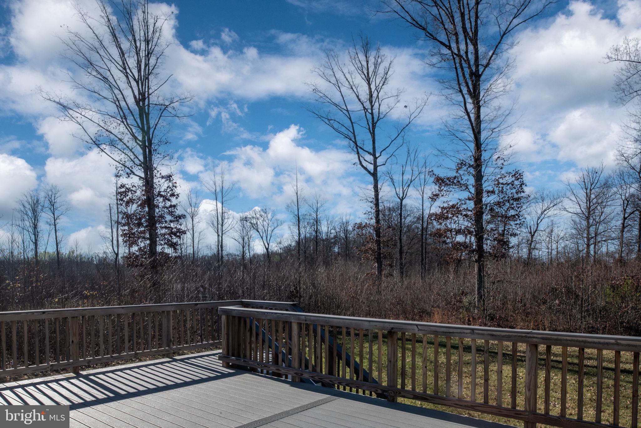 1675 Roberts Run Road Stafford, VA 22556 - Photo 87 of 88 Gallery Image 87