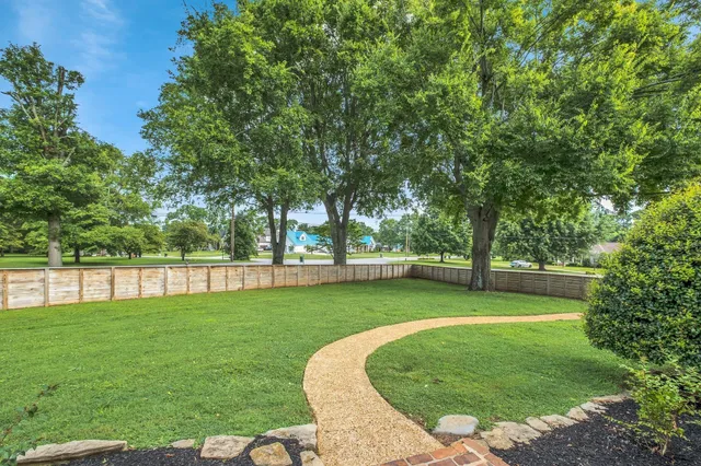 a view of a backyard with green space