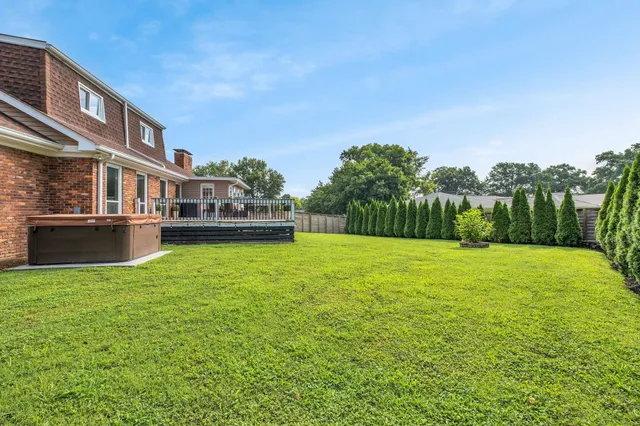 a view of a park with large trees