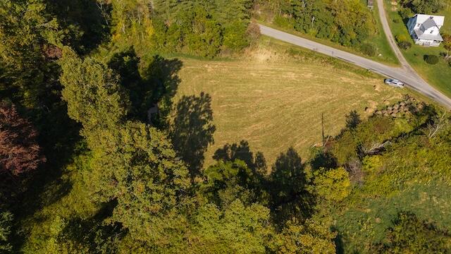 0 Twin Falls Road Northeast Copper Hill, VA 24079 - Photo 11 of 47