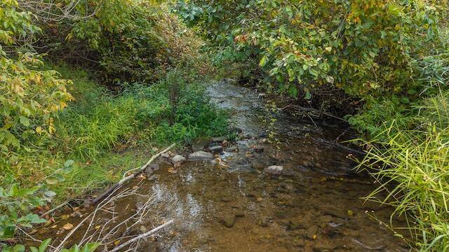 0 Twin Falls Road Northeast Copper Hill, VA 24079 - Photo 14 of 47