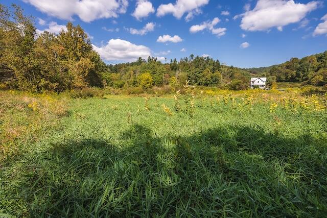 0 Twin Falls Road Northeast Copper Hill, VA 24079 - Photo 15 of 47 a view of a big yard with lots of green space