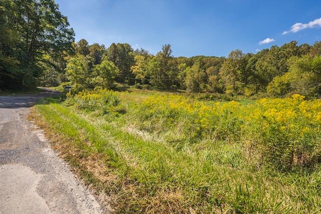 0 Twin Falls Road Northeast Copper Hill, VA 24079 - Photo 17 of 47 a view of a yard with a tree