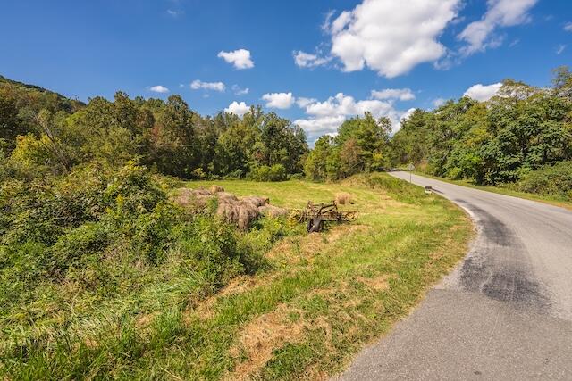 0 Twin Falls Road Northeast Copper Hill, VA 24079 - Photo 18 of 47 a view of a yard