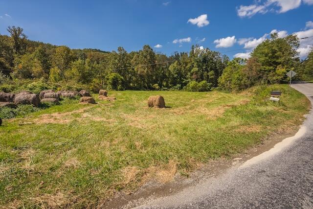 0 Twin Falls Road Northeast Copper Hill, VA 24079 - Photo 19 of 47 a view of a yard with a house